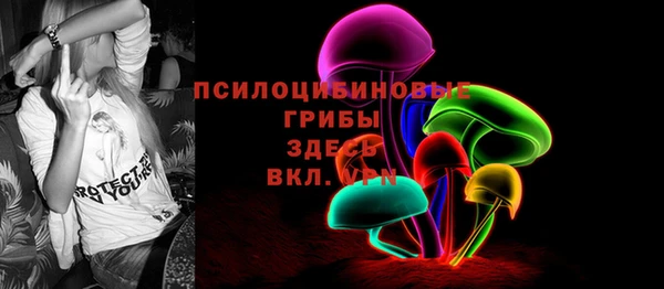 крисы Вяземский