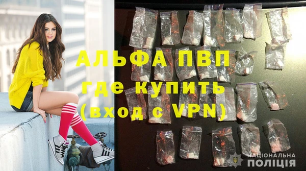 apvp Вязники