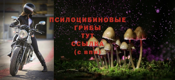 крисы Вяземский