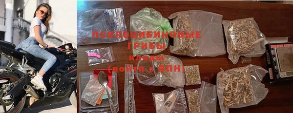 apvp Вязники